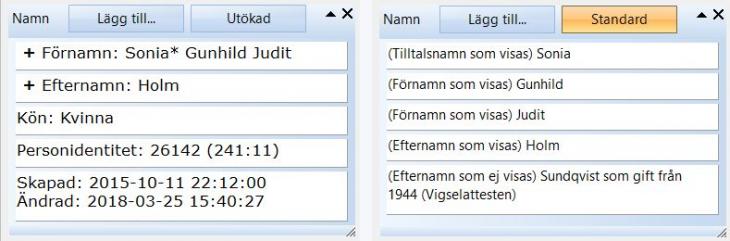 Disgen handledning - Båda vyerna av namnpanelen